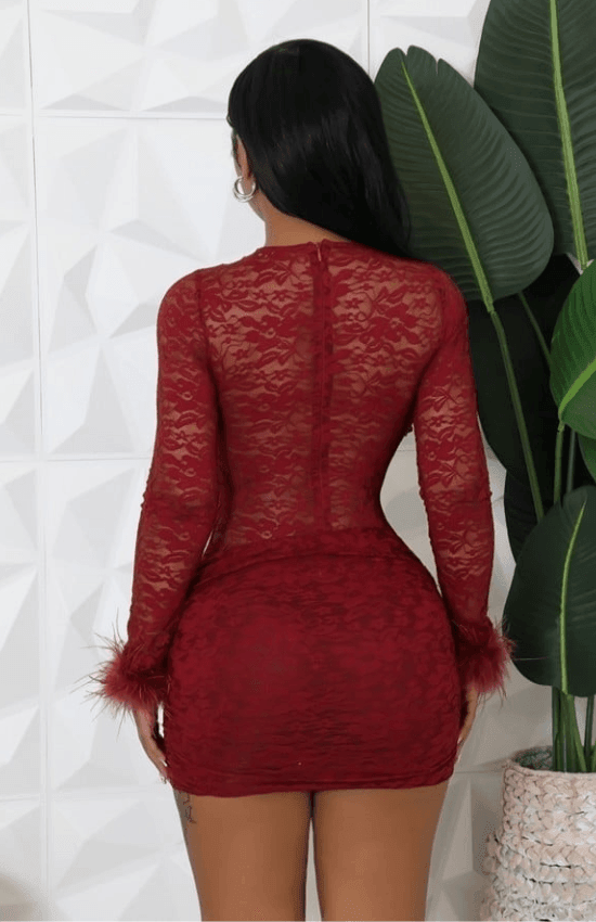 Jina Stretch Around Neck Long Sleeve Feather Elegant Mini Dress-Red